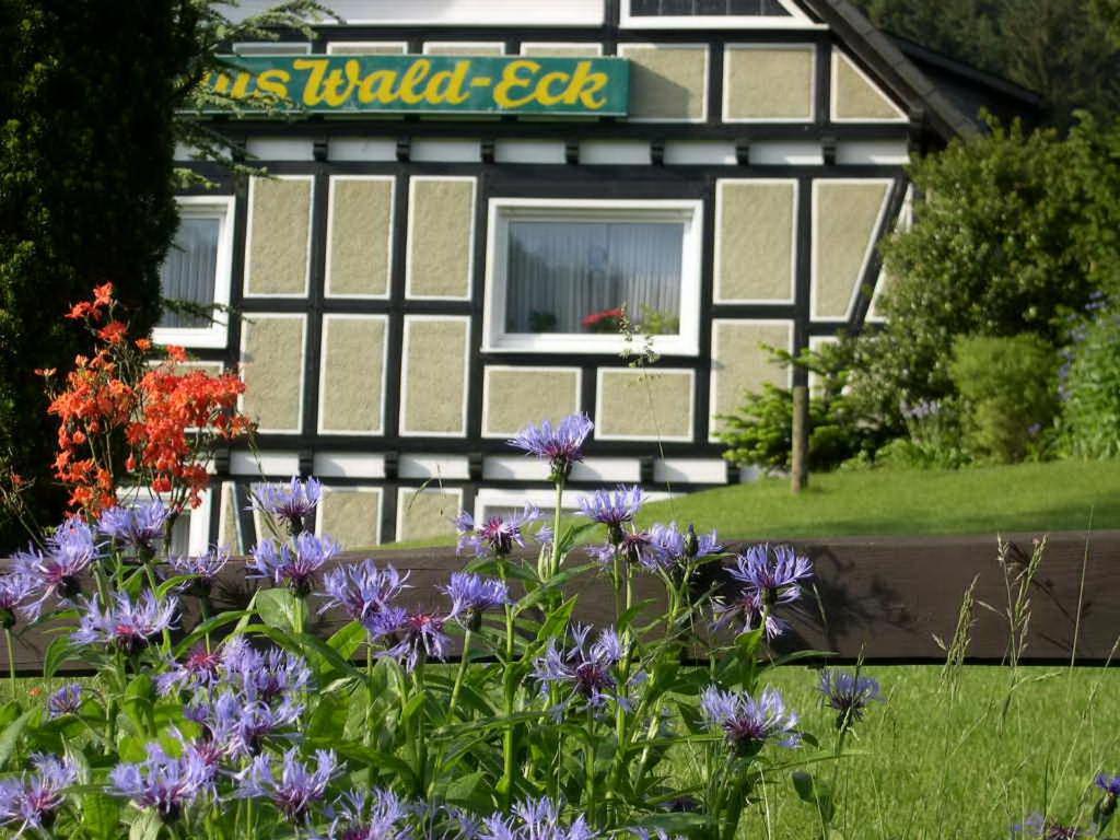 Апартаменты Haus Wald-Eck Шмалленберг Экстерьер фото